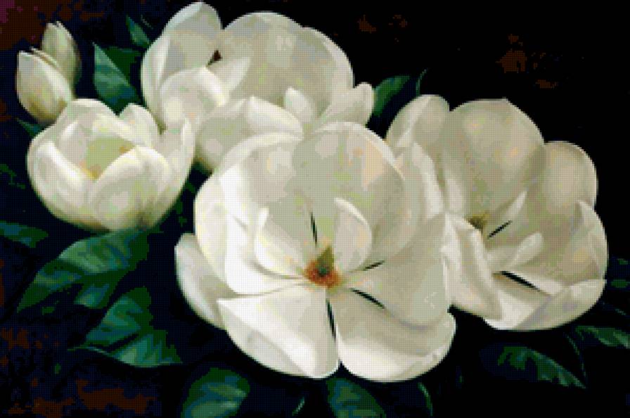 цветы от художника Игоря Левашова - природа, цветы - предпросмотр