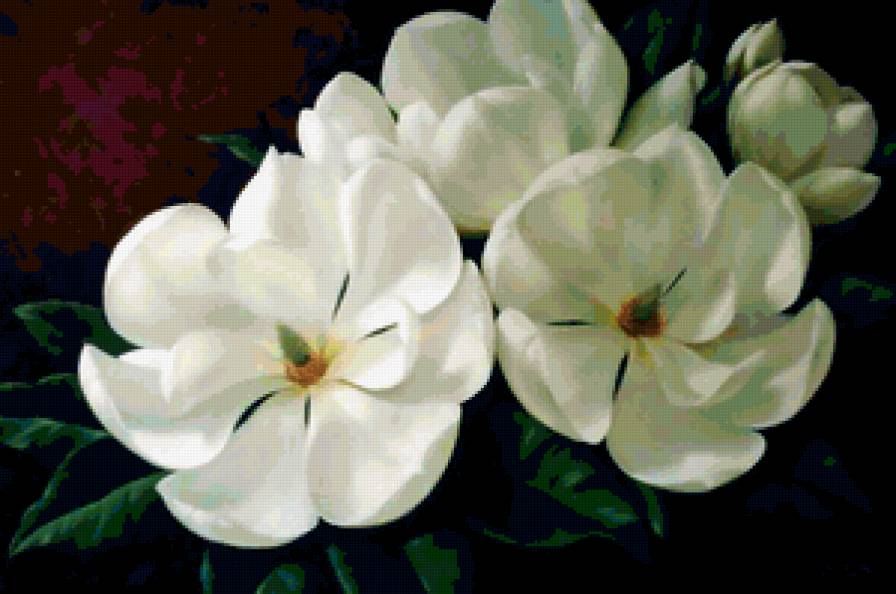 цветы от художника Игоря Левашова - цветы, природа - предпросмотр