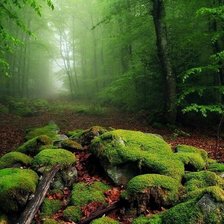 Схема вышивки «лес»