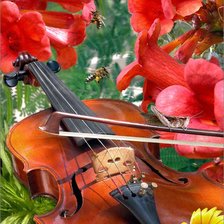 Схема вышивки «№296854»