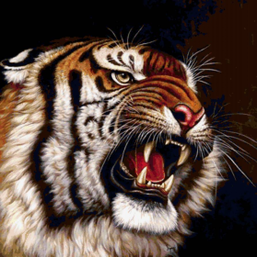 тигр - кошка, тигр, животные, кот - предпросмотр