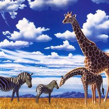 жираыи и зебры