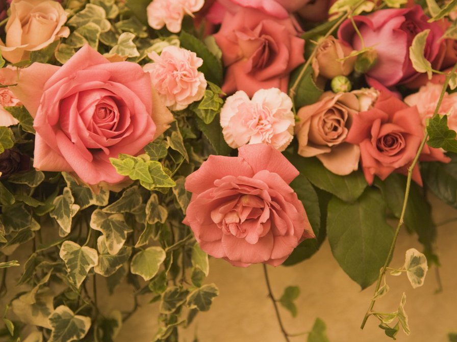 Розы - цветы, розы - оригинал