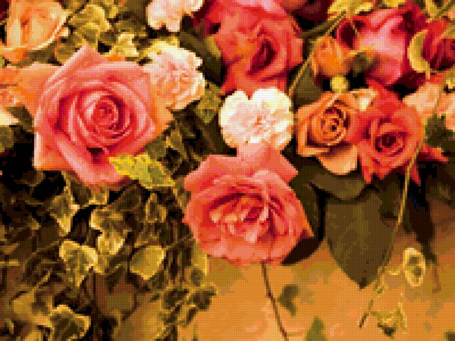 Розы - цветы, розы - предпросмотр