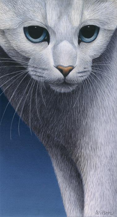 коты4 - кошка, коты - оригинал