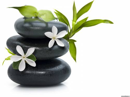 камни в цветах - оригинал