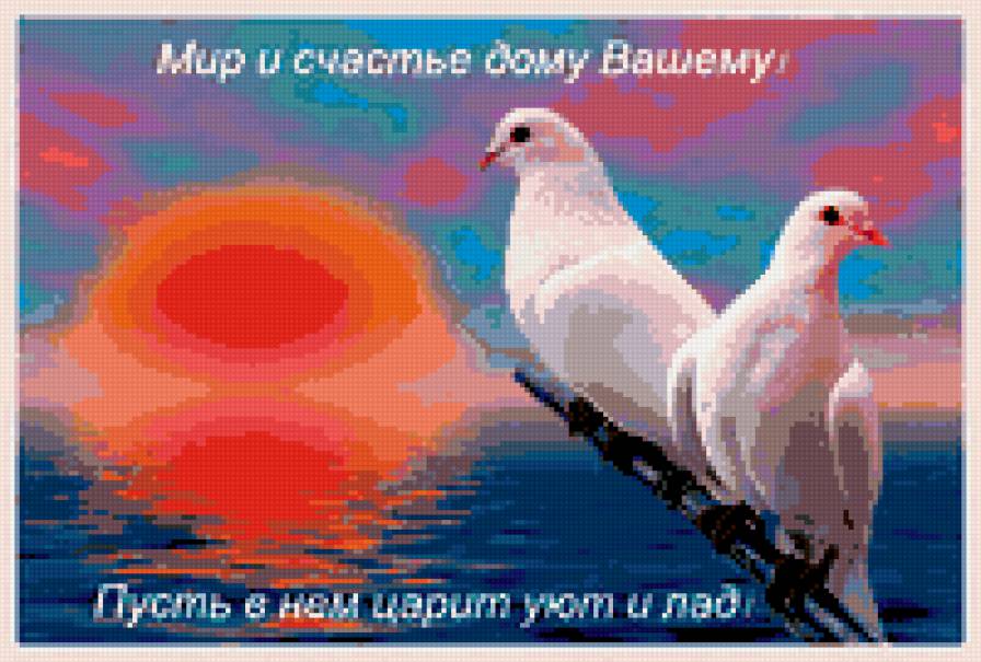 Голуби - предпросмотр