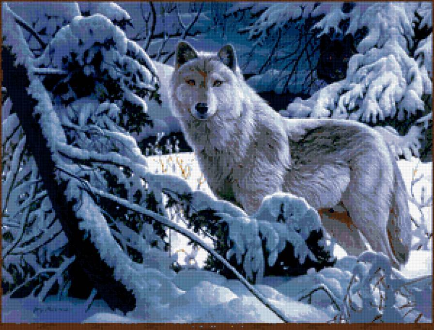 Снежный волк - снег, пейзаж, волк, животные, природа, зима - предпросмотр