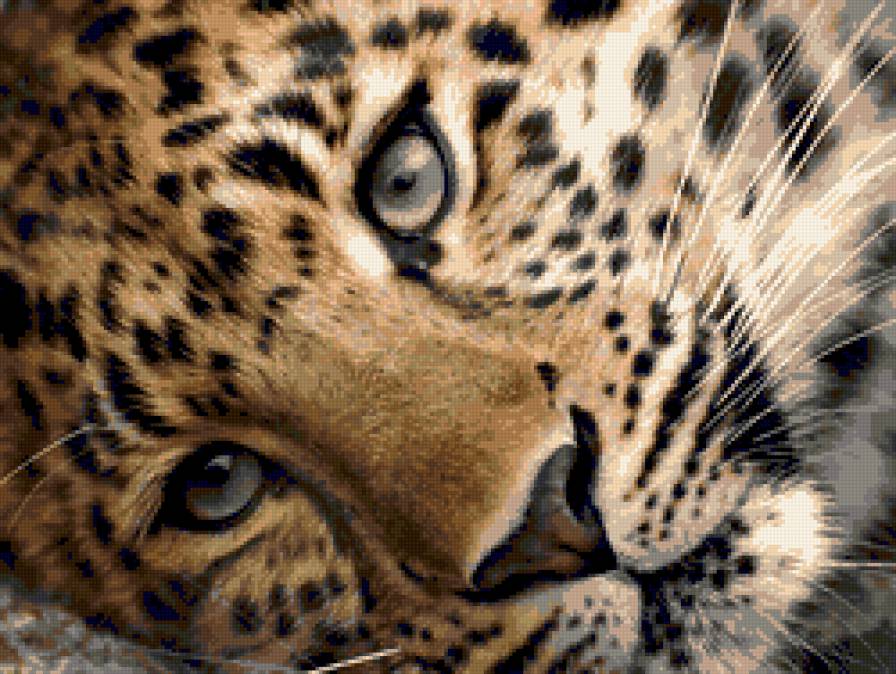 грусть - кошки, животные, африка - предпросмотр