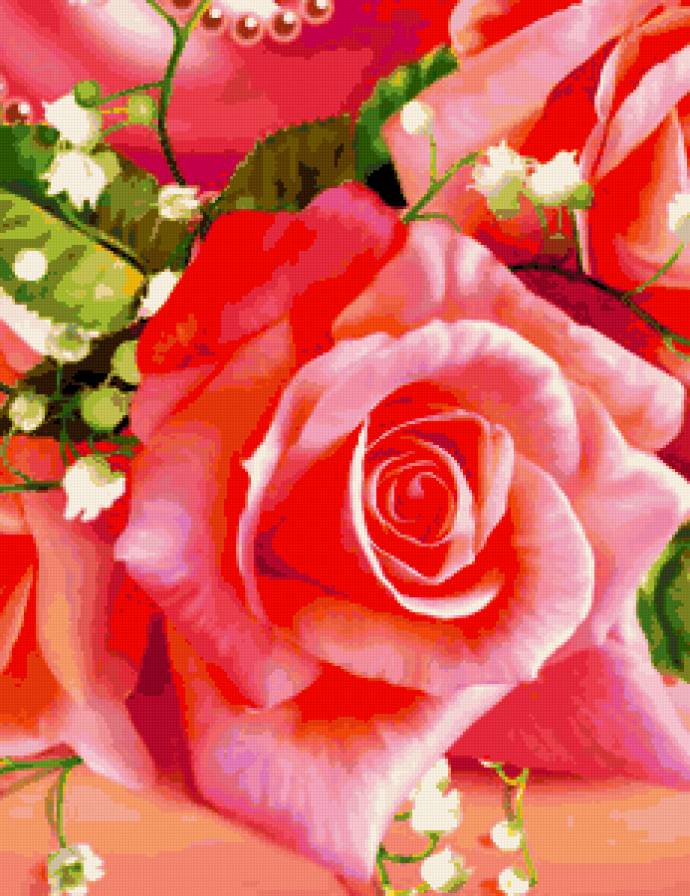 розы - натюрморт, розы, розовые цветы, роза, букет, романтика, цветы - предпросмотр