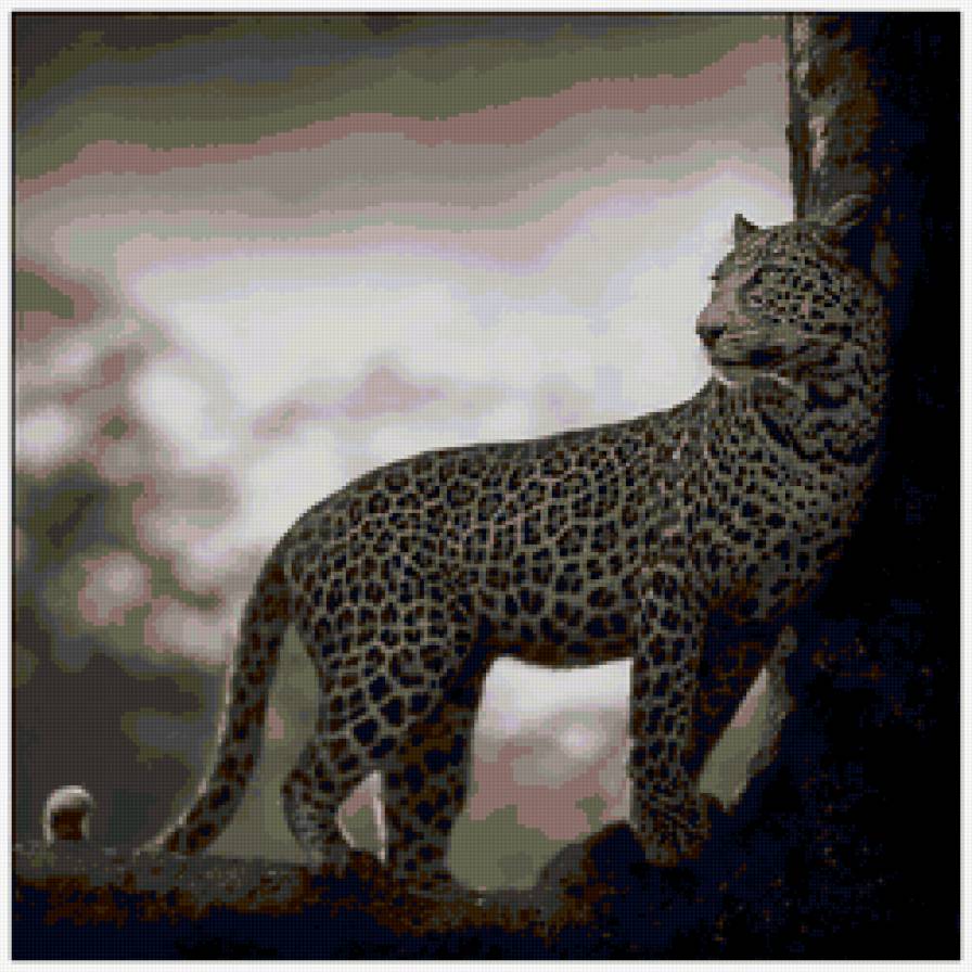 леопард - леопард, дикие кошки, животные - предпросмотр