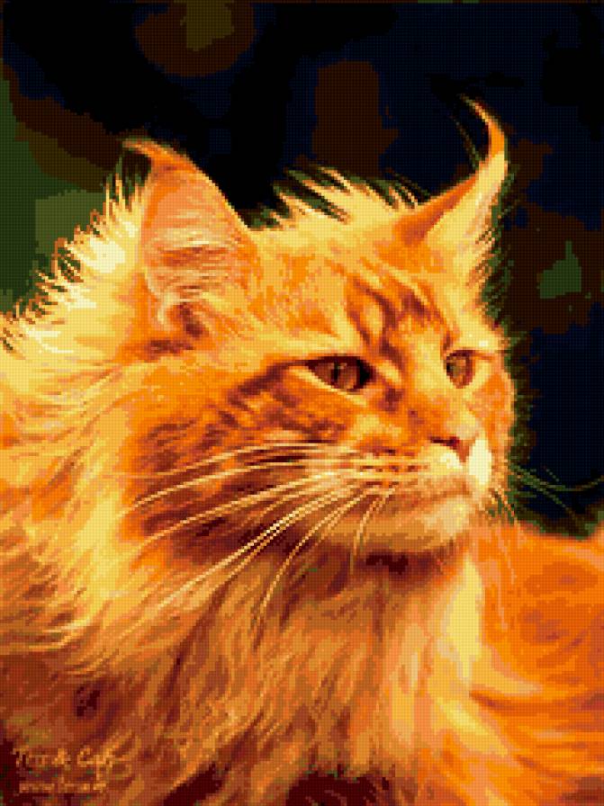 рыжик - кошки, домашние животные - предпросмотр