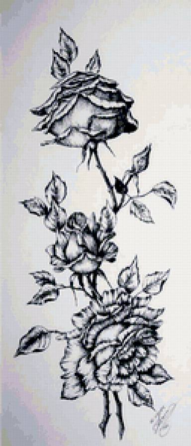 rozu - предпросмотр