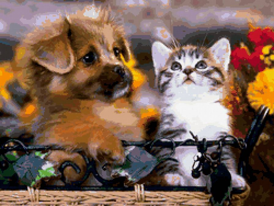 щенок и котенок - животные, собаки, кошки - предпросмотр