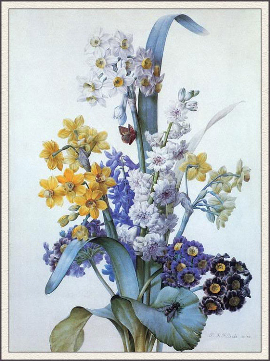 цветы - цветы, природа - оригинал