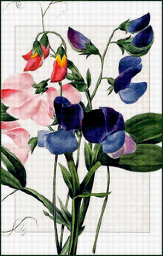 букет - цветы, природа - предпросмотр