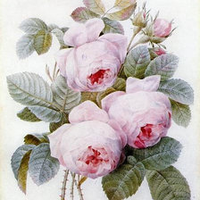 Схема вышивки «цветы»