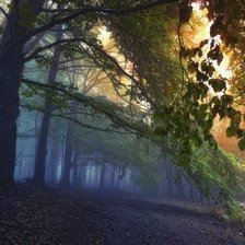 Схема вышивки «лес»