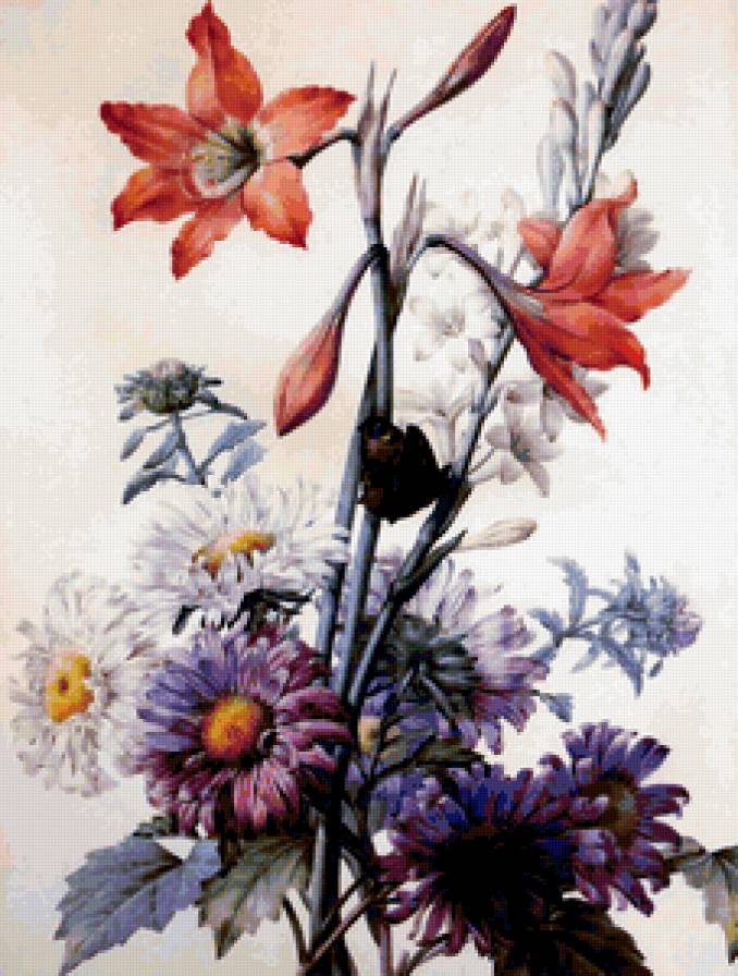 букет - цветы, букет - предпросмотр