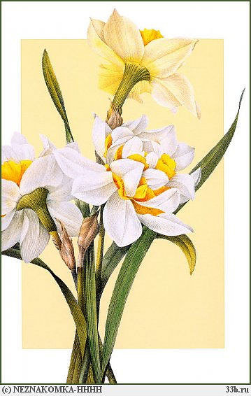 букет - букет, цветы - оригинал