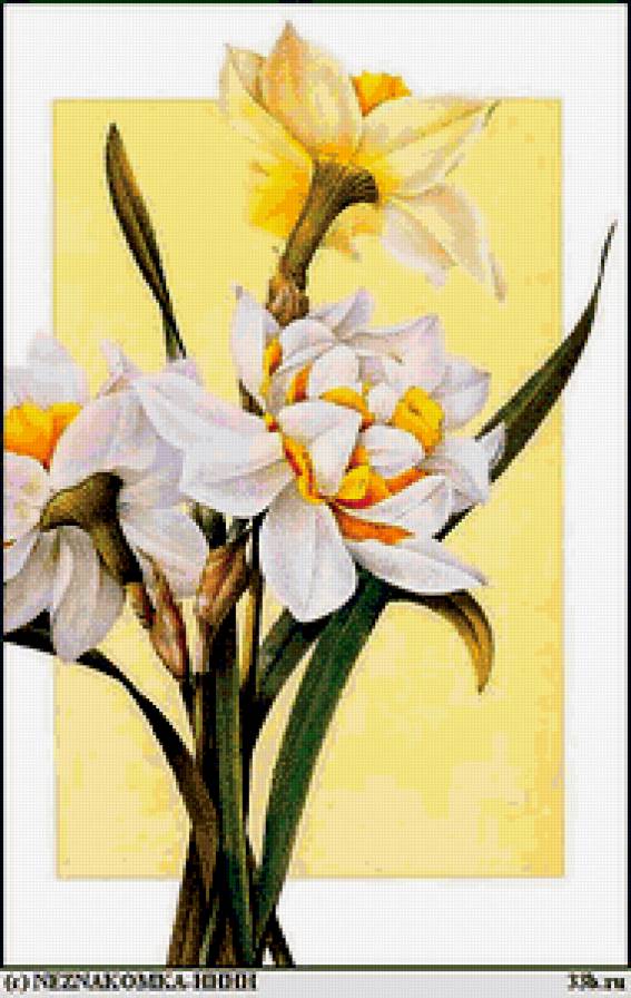 букет - букет, цветы - предпросмотр