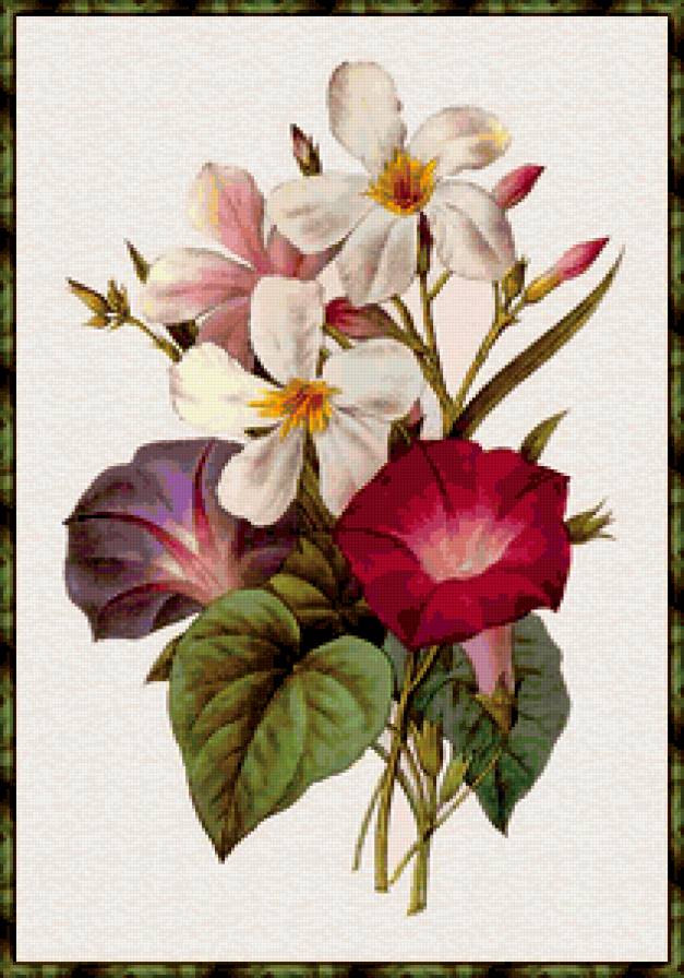 букет - цветы, букет - предпросмотр