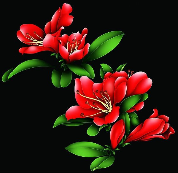 красные цветы - оригинал