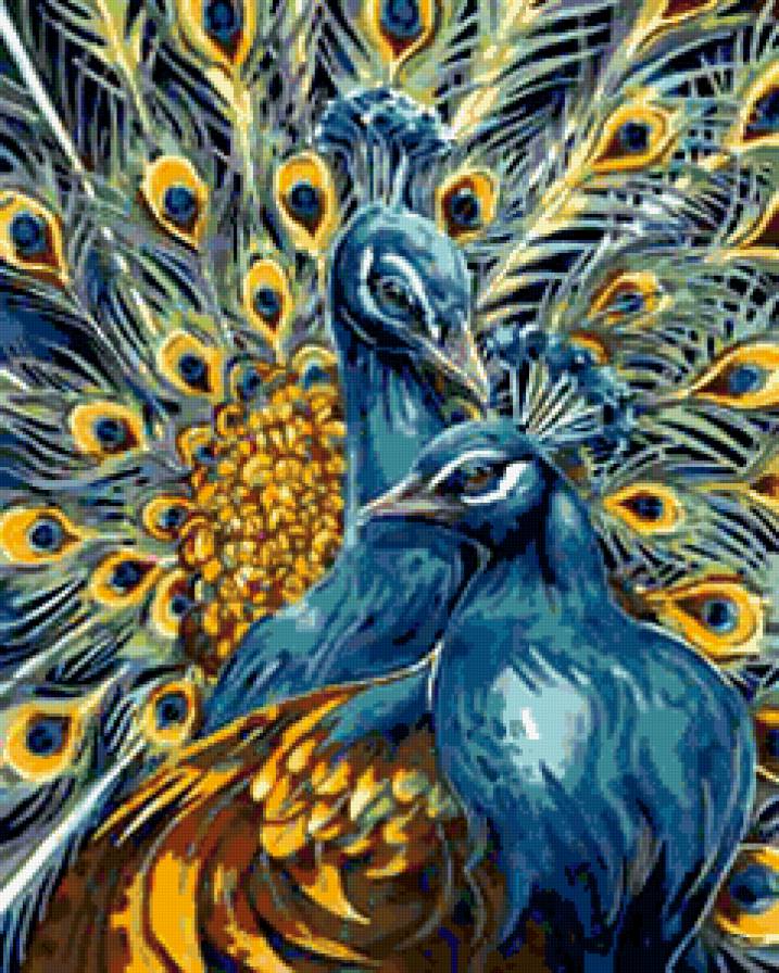 Павлин - птицы, павлин - предпросмотр