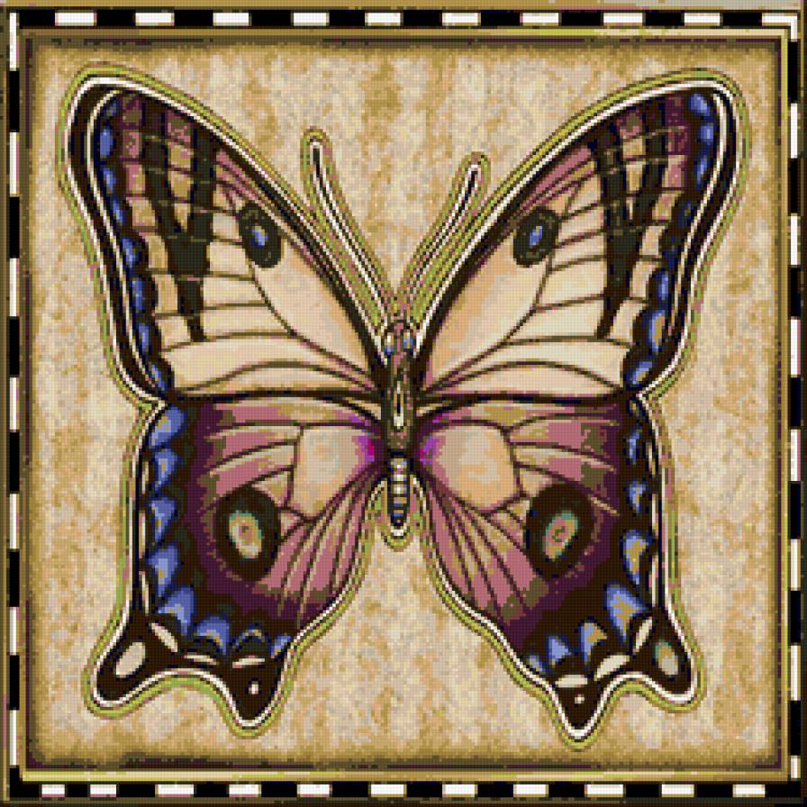 бабочка - бабочка, насекомые - предпросмотр