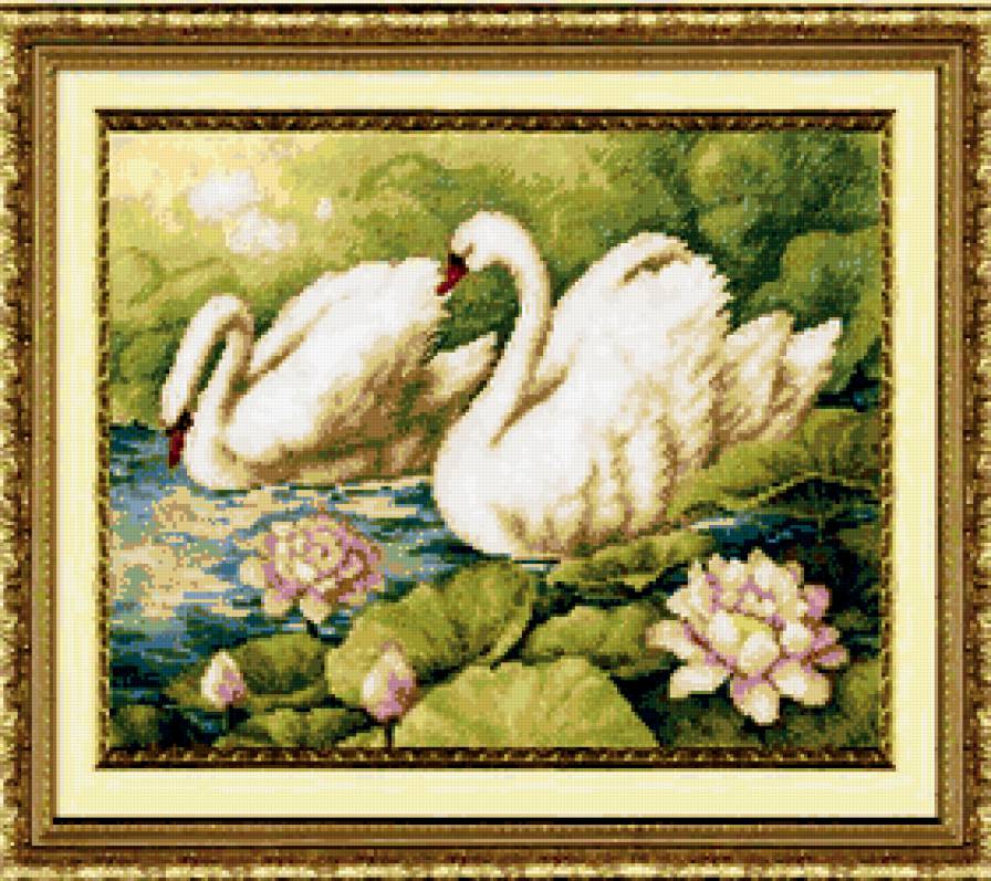 пара лебедей - лебеди, лебедь - предпросмотр