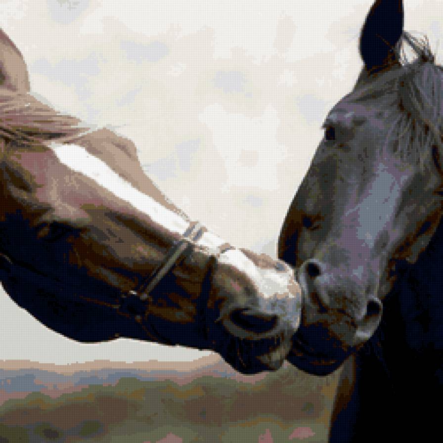 Поцелуй - лошади, животные - предпросмотр