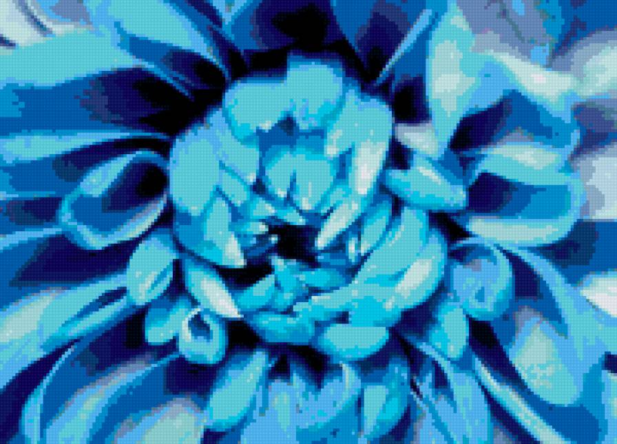 хризантема - предпросмотр