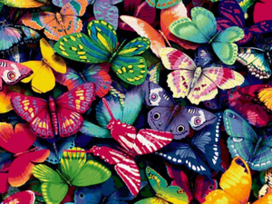 Бабочки - насекомые, бабочки - предпросмотр