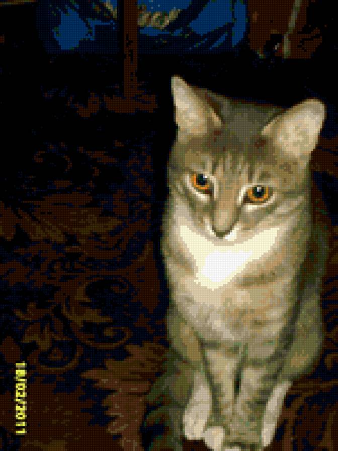 Котик - томас - предпросмотр