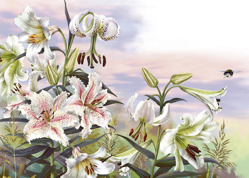 №298793 - оригинал