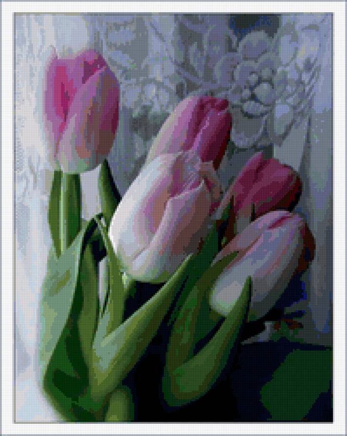 тюльпаны - букет, цветы, тюльпаны - предпросмотр