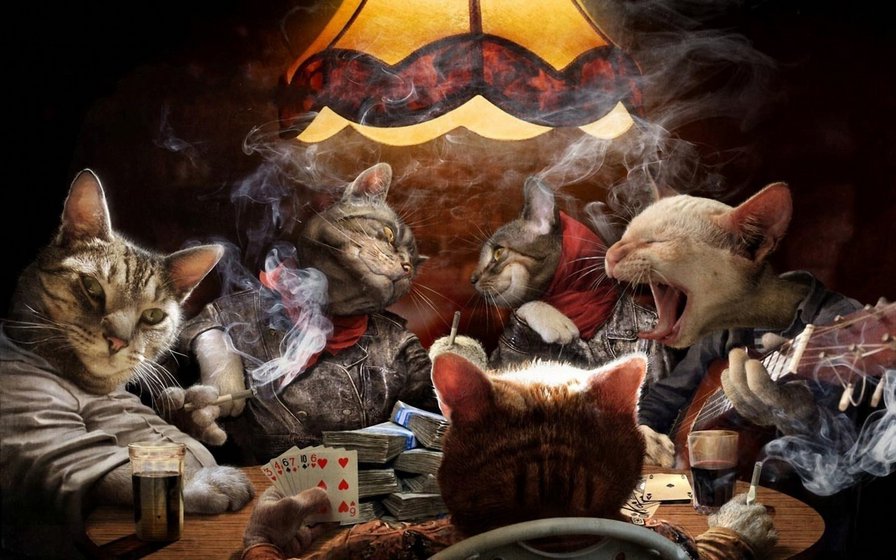 Cats in poker. - покер, кошки - оригинал