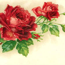 Оригинал схемы вышивки «веточка розы» (№299253)
