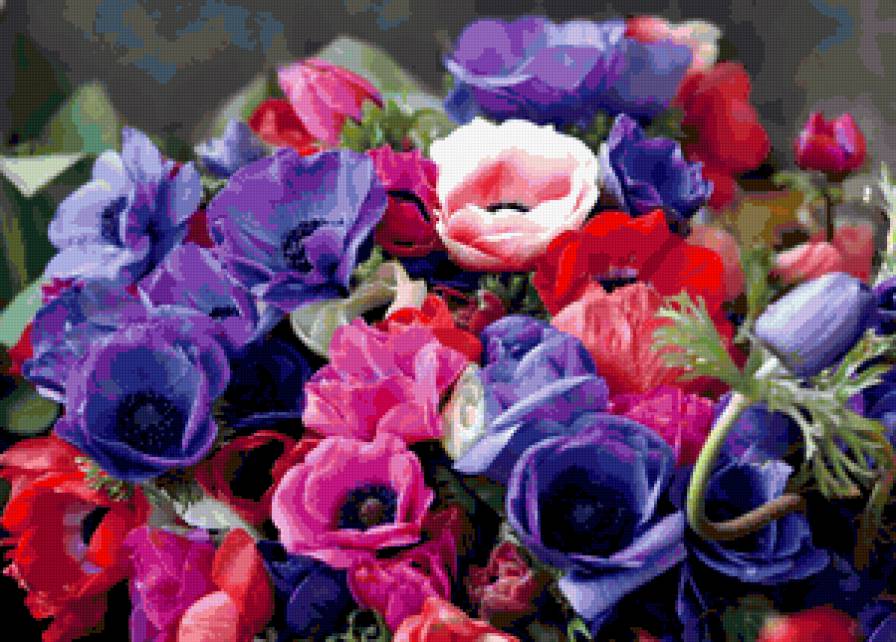 Красочные анемоны - краски, анемоны, цветы, букет - предпросмотр