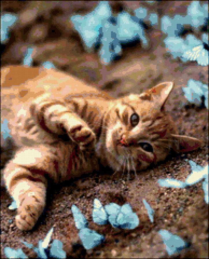 Кот на поляне бабочек. - кошка, насекомые, кот, юмор, прикол, животные, бабочки - предпросмотр