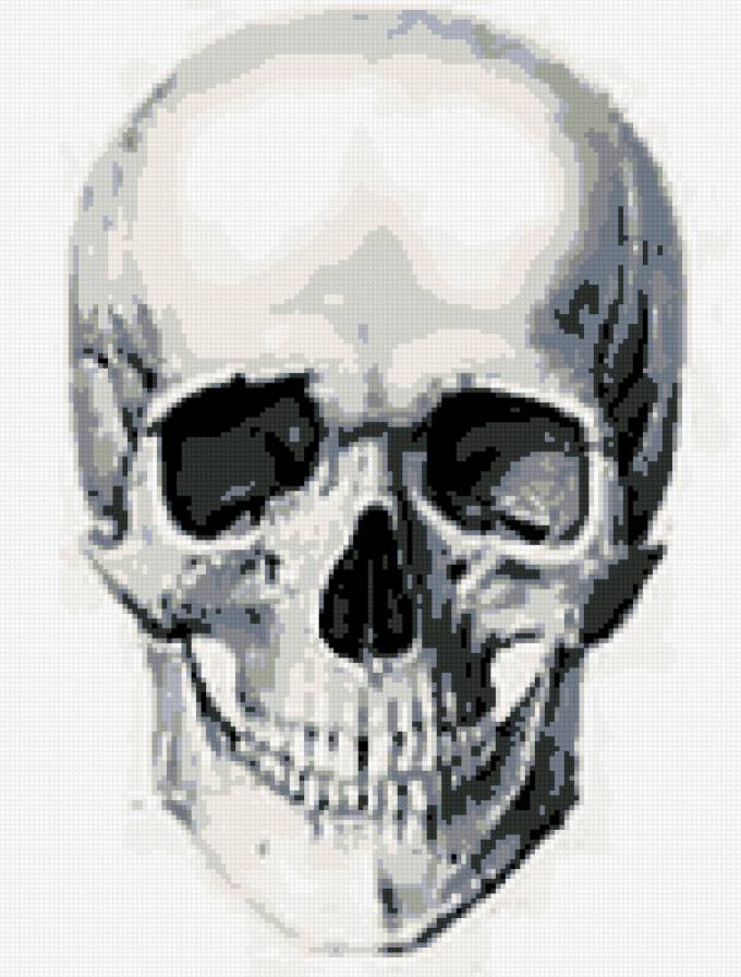 Череп. - прикол, человек, юмор. - предпросмотр