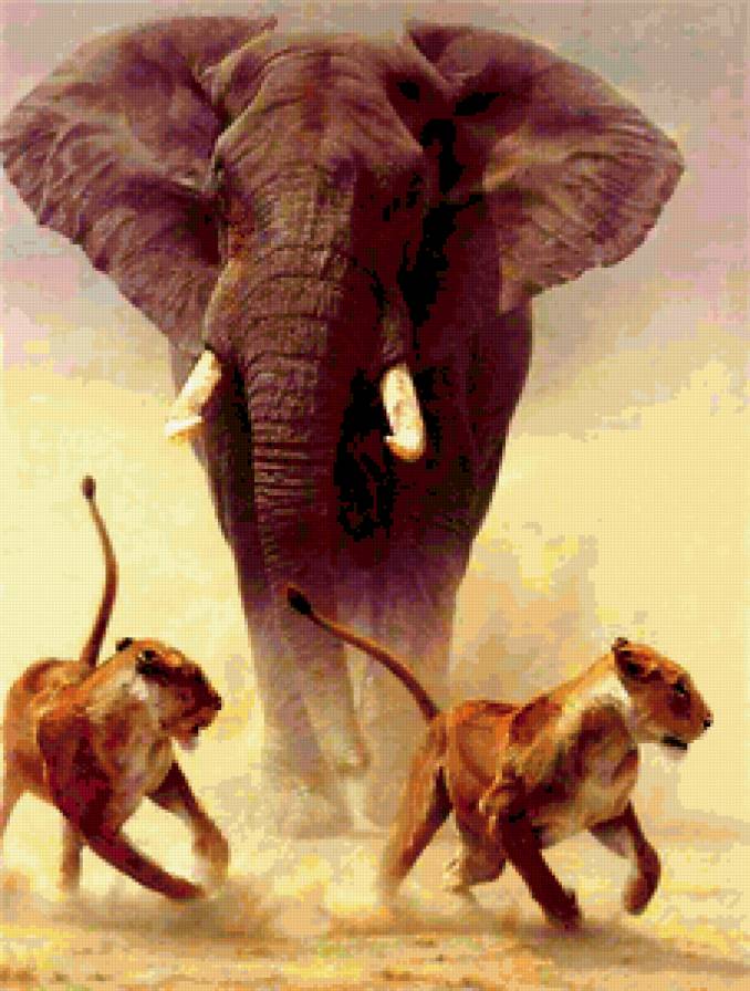 слон на охоте - слон, львы - предпросмотр