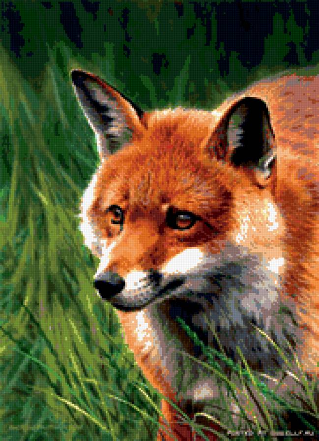 №299621 - лиса - предпросмотр