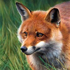 Схема вышивки «№299621»