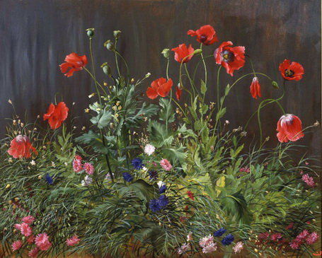 цветы - букет, цветы, маки - оригинал