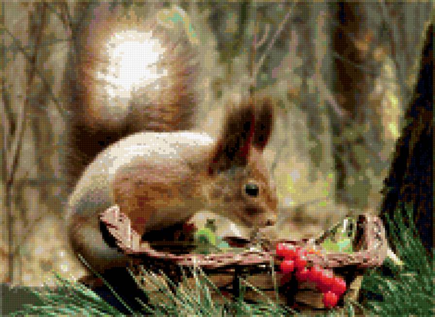 бельчонок - природа, бельчонок, животные, белка - предпросмотр