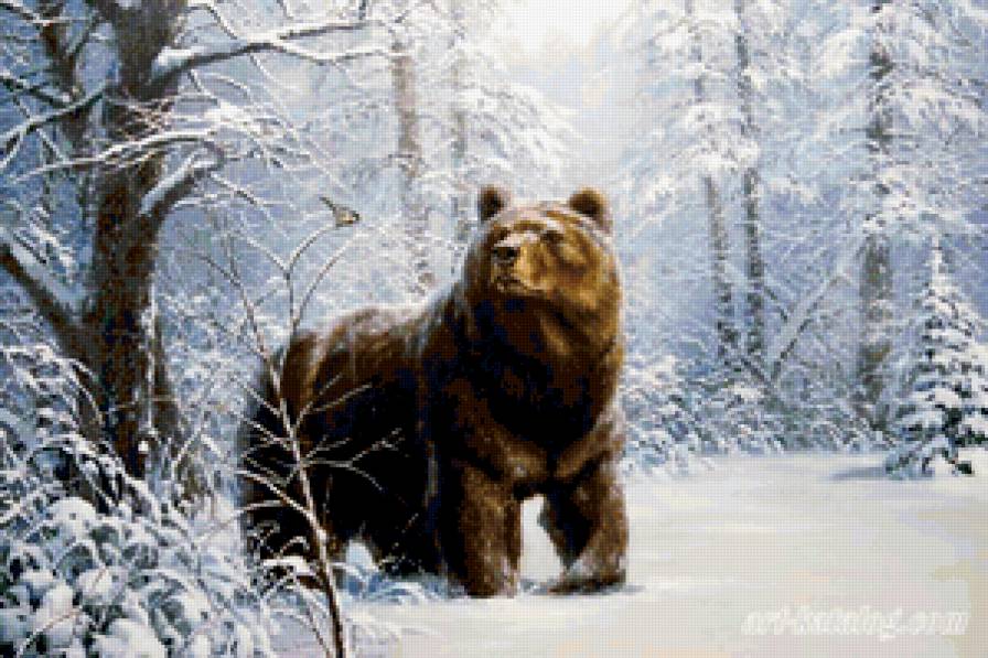 зима - синичка, медведь, лес, зима, природа, животные - предпросмотр