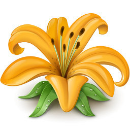 лилия - лилия, цветы - оригинал