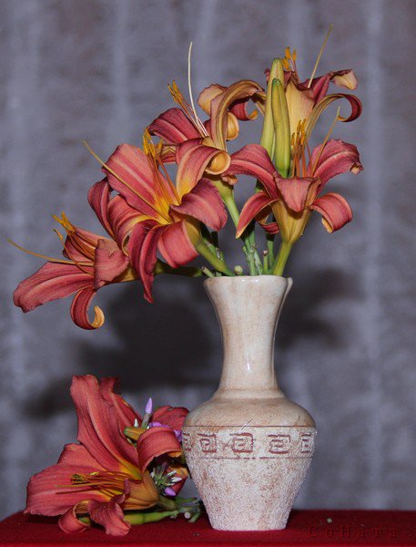 714 - оригинал