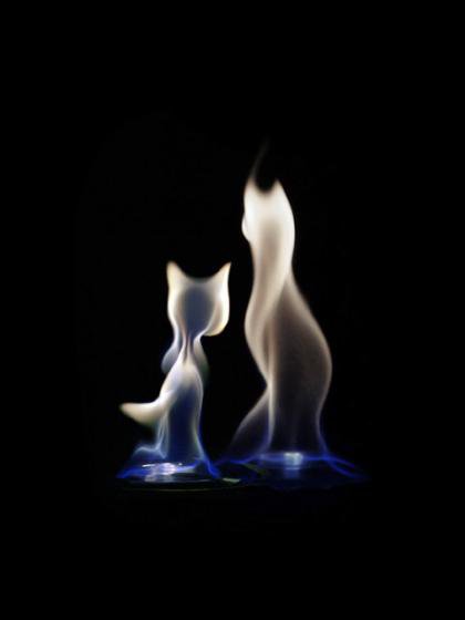 коты - оригинал